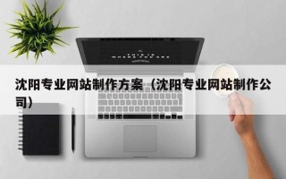 甘肃沈阳专业网站制作方案（沈阳专业网站制作公司）